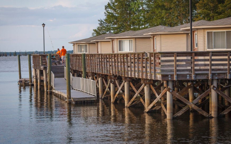 Santee State Park, South Carolina, USA